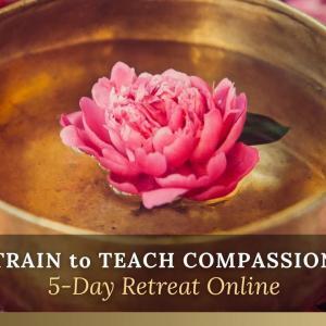 train to teach compassion online new